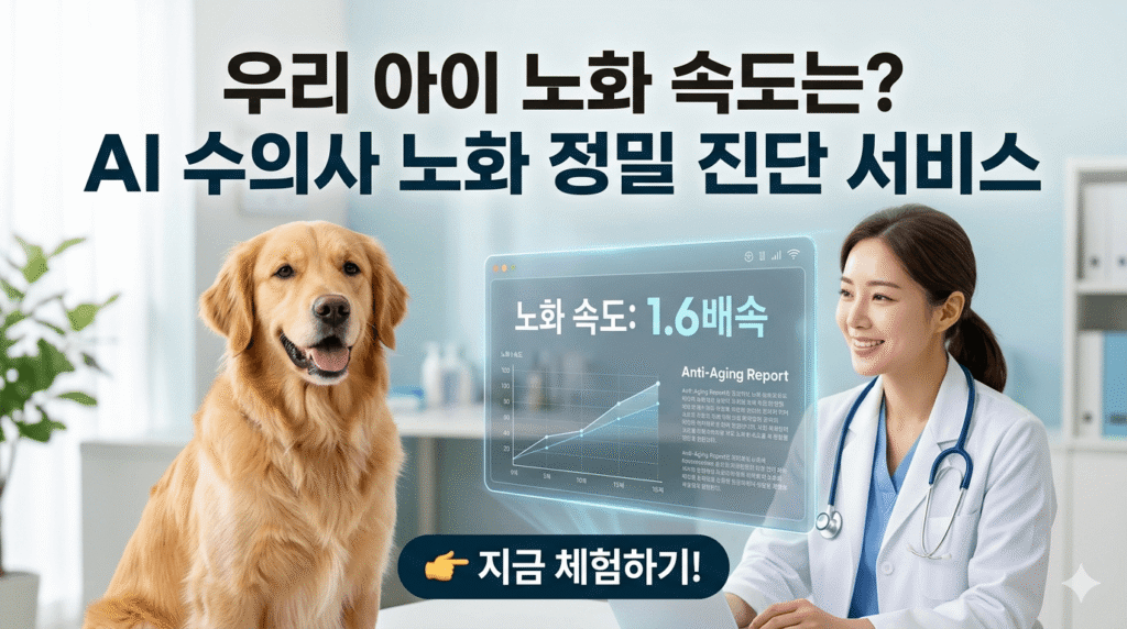 반려견 노화 속도 관련 이미지